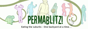 permablitz