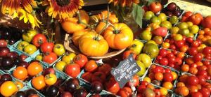 2ea8e3d3-138f-4f11-92e4-93dcab826d16