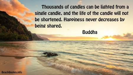 happiness-quote-thousands-of-candles-can-be-lit-from-a-single-candle-20