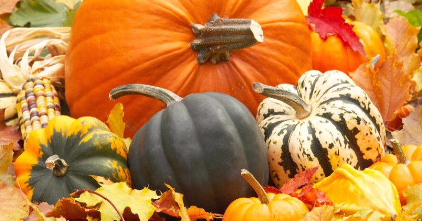 012b3c45-a719-4648-b15b-e269cf8200e7